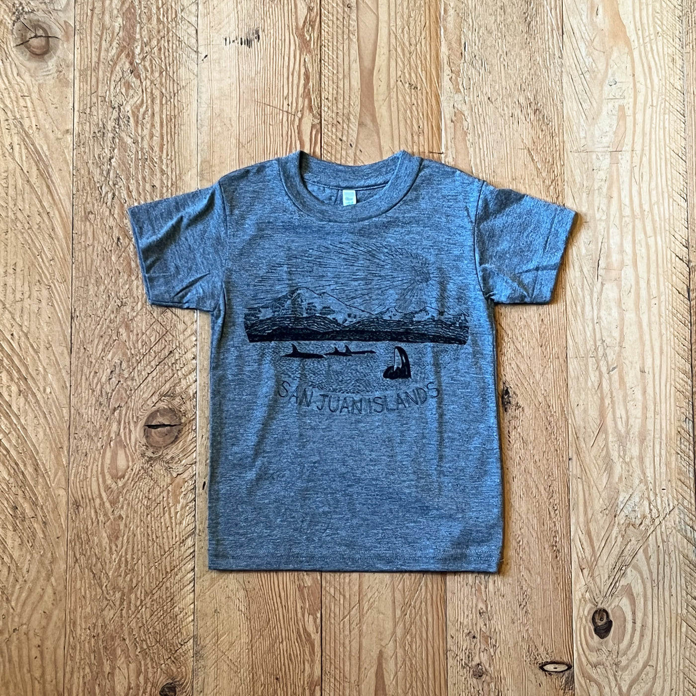 Mt. Baker - Toddler Triblend T-Shirt (Grey)
