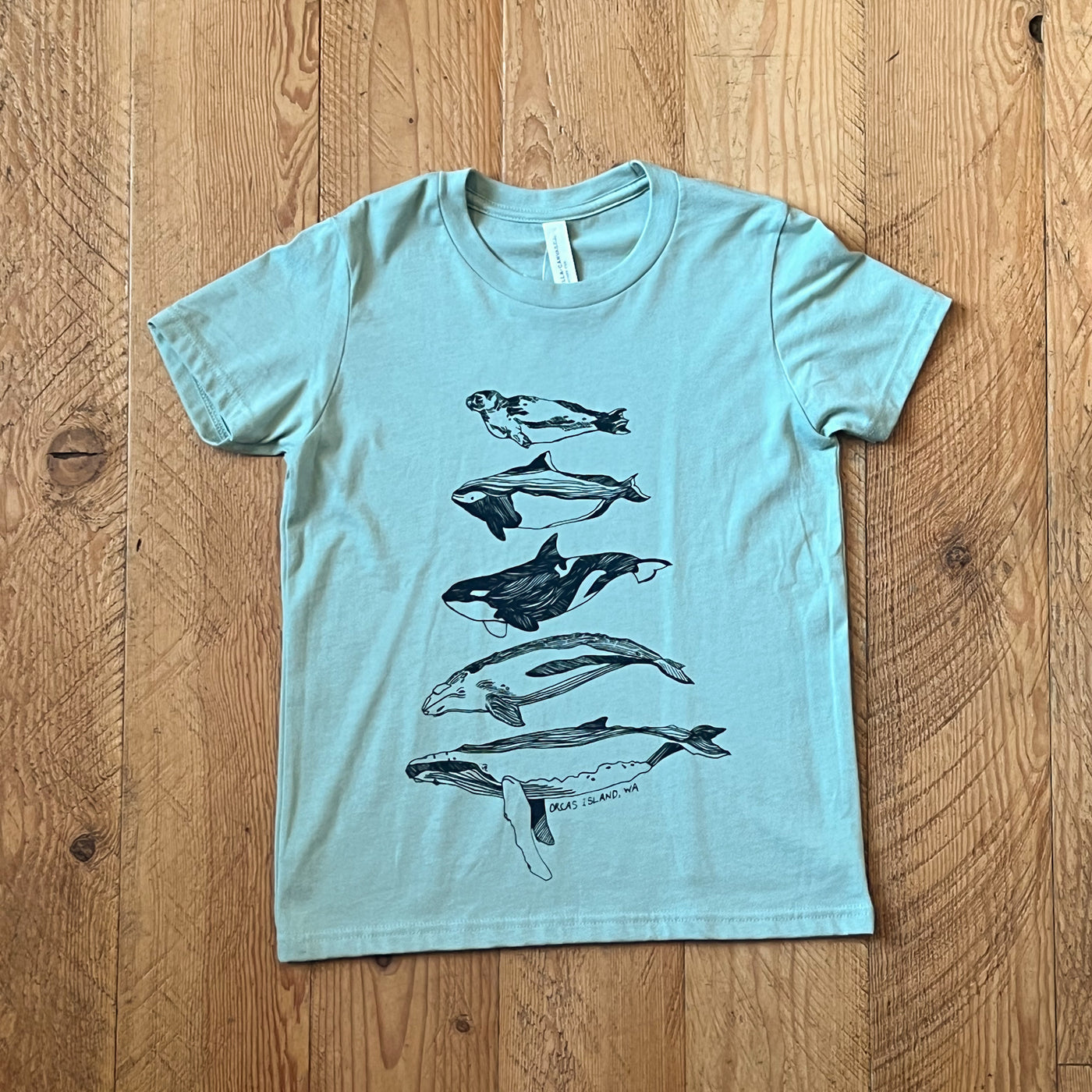 Salish Sea Mammals - Youth Jersey T-shirt (Heather Dusty Blue)