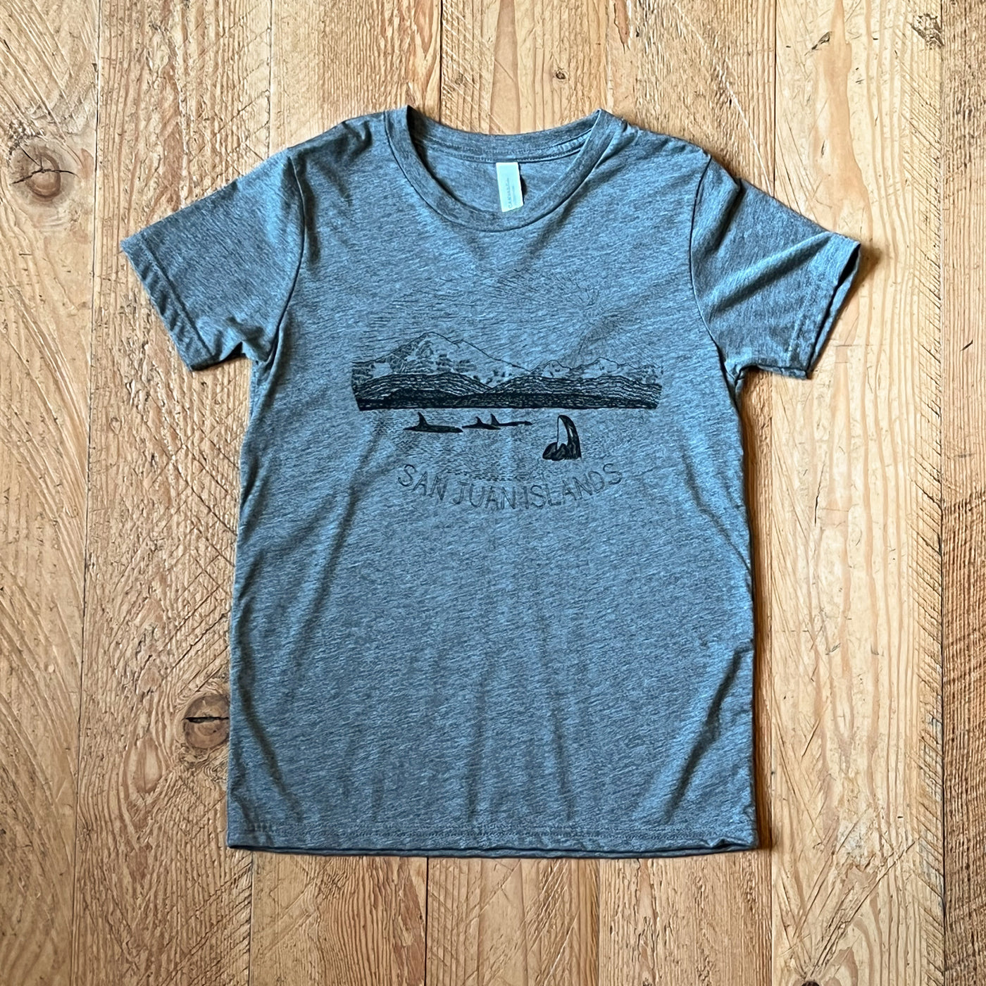 Mt. Baker - Youth Triblend T-Shirt (Grey)