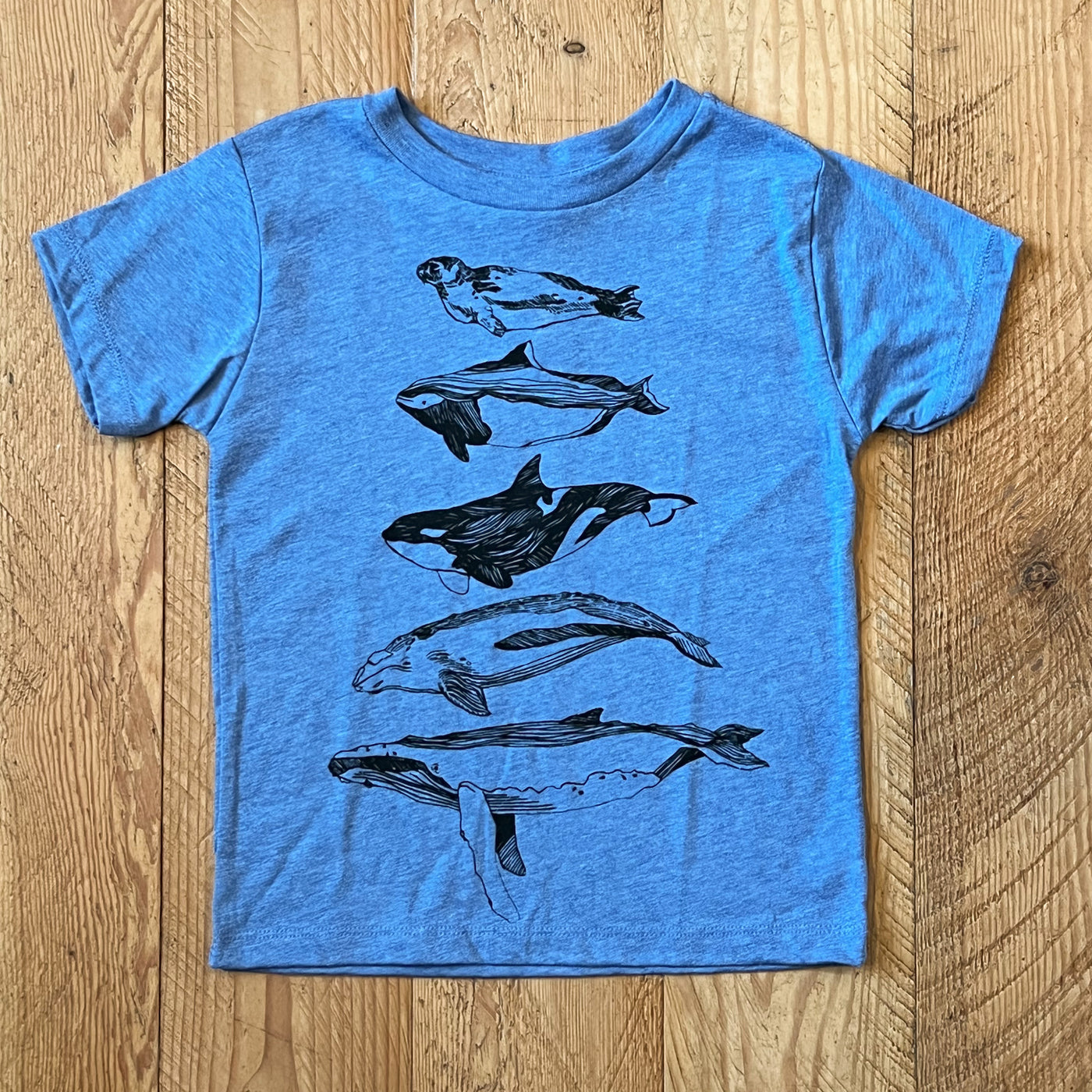 Salish Sea Mammals - Toddler Triblend T-Shirt (Athletic Blue)