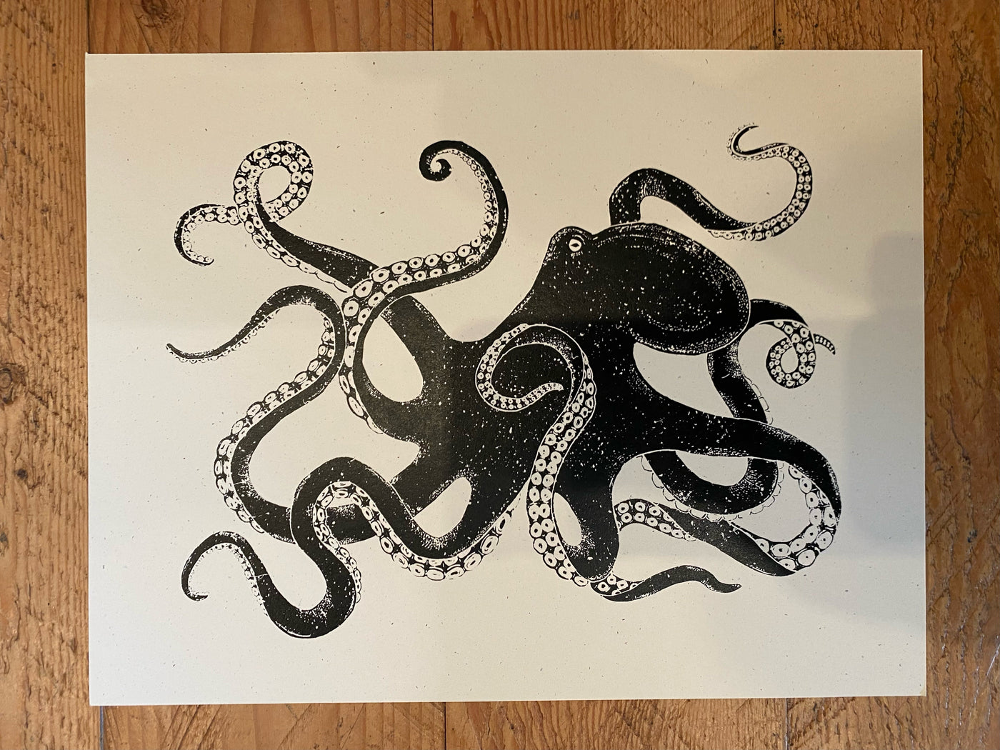 Giant Pacific Octopus - Medium Paper Print Printshop Northwest 
