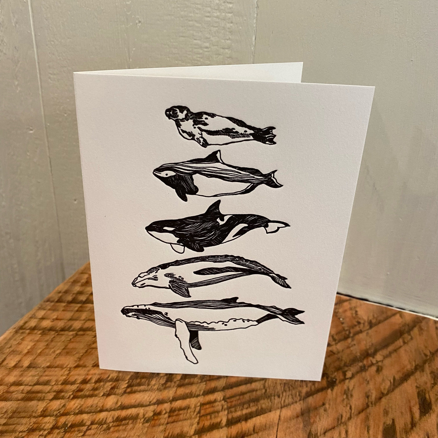 Salish Sea Mammals - Notecard Card Printshop Northwest 