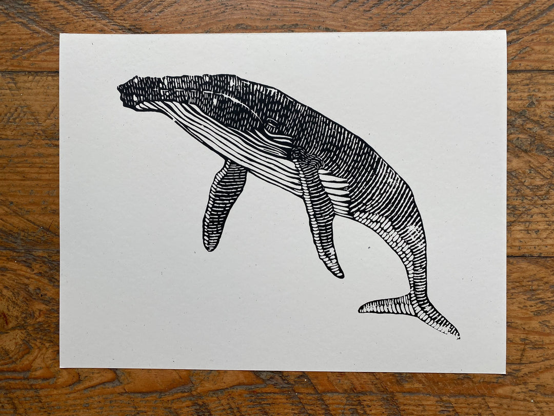 Lino Humpback - Medium Paper Print Paper Print Andrew 