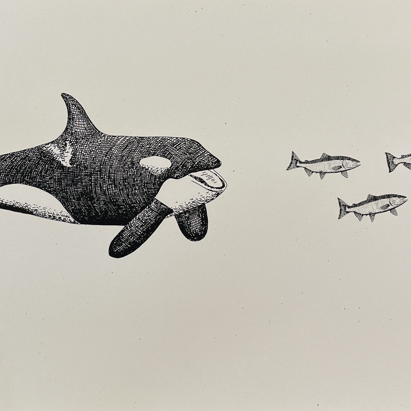 Orca with fish Design Printshop Northwest 