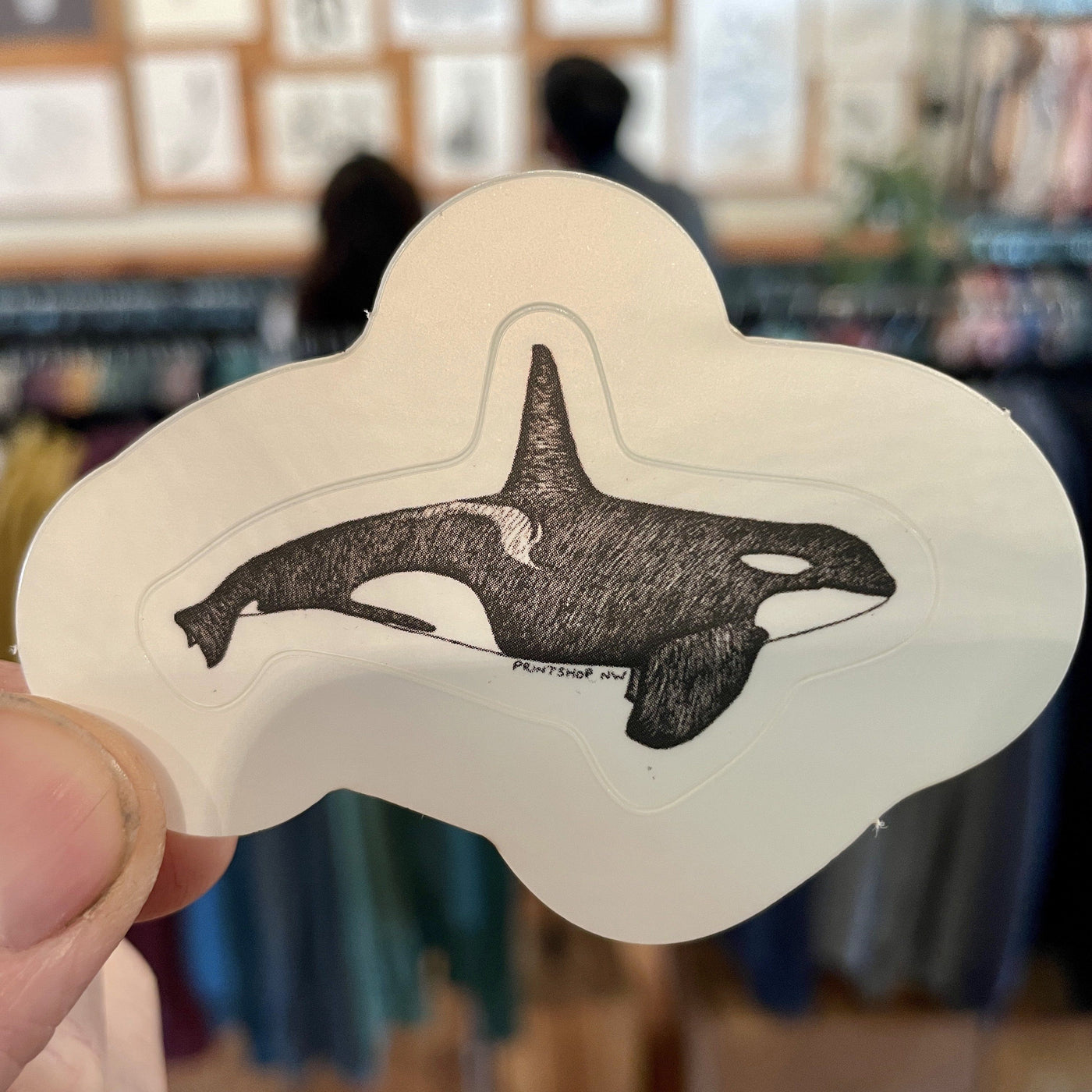 Sticker - Mini Orca Whale Sticker Printshop Northwest 