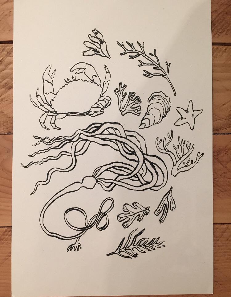 Sea Life - Paper print Print Brooke 