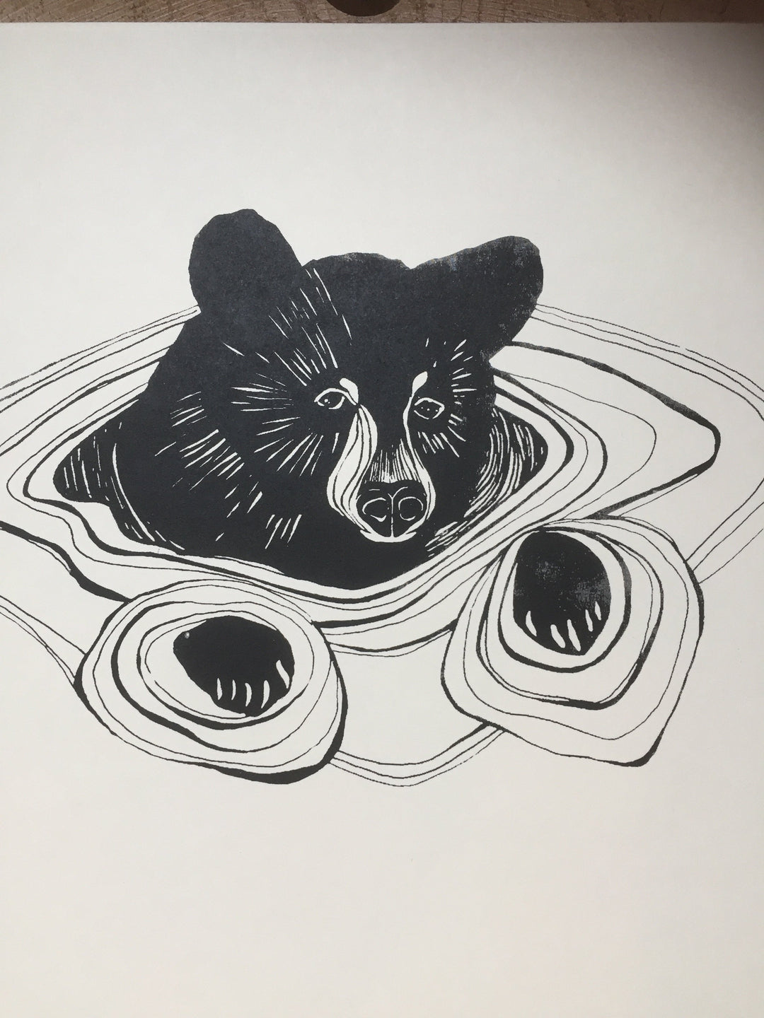 Bear Swimming Design Colleen 