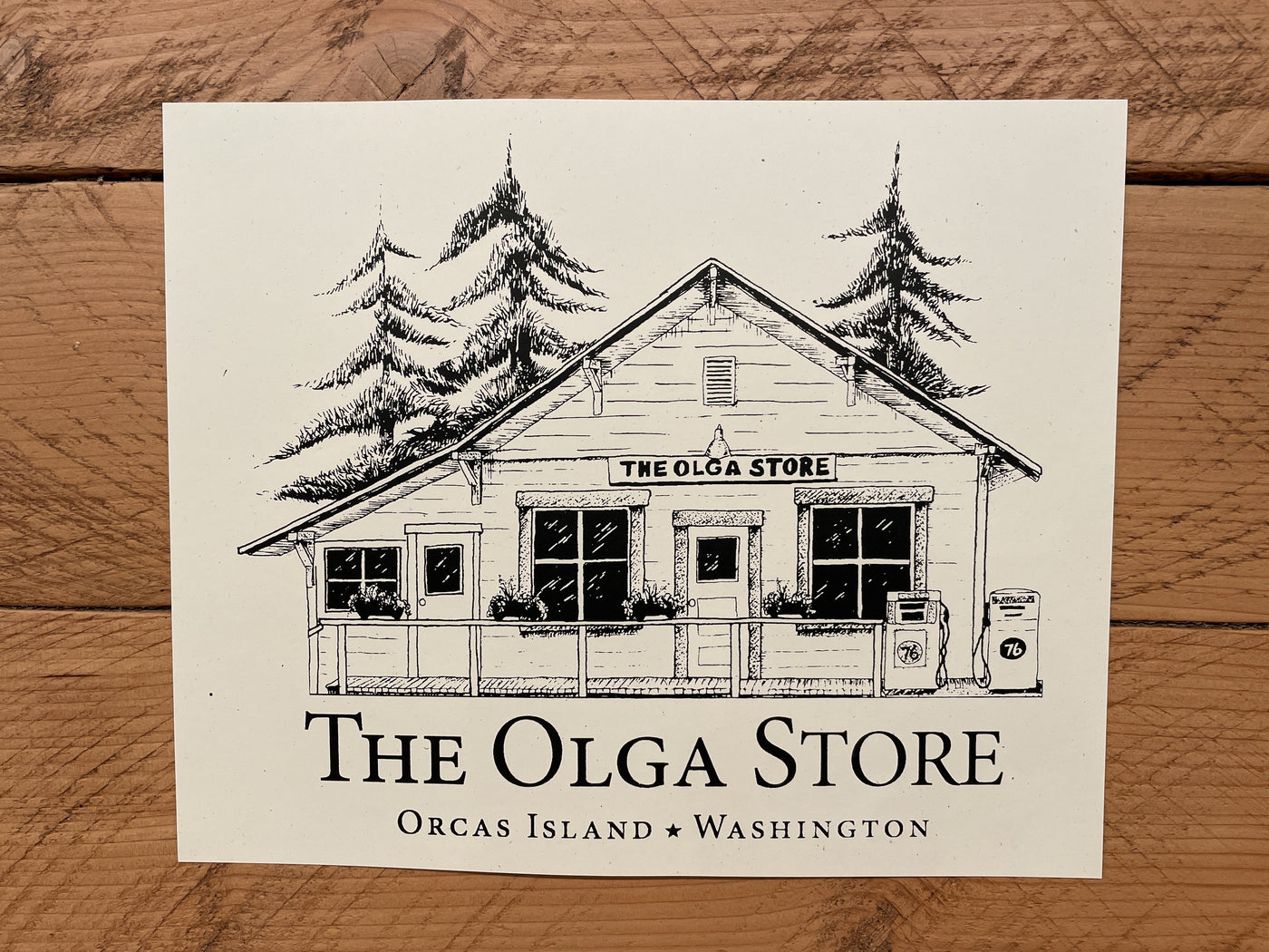 Olga Store Design Olga Store 