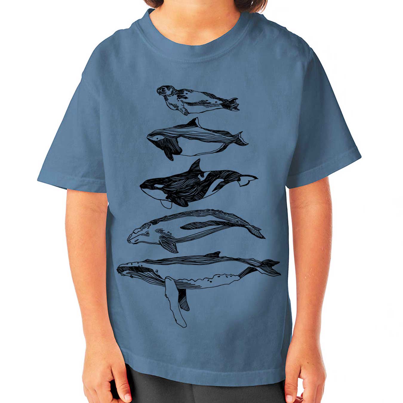 Salish Sea Mammals - Youth Cotton Garment Dyed T-Shirt (SALTWATER) Youth_Printed ComfortWash 