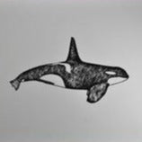 Orca Whale Design Printshop Northwest 
