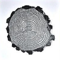 Tree Rings Design Printshop Northwest 