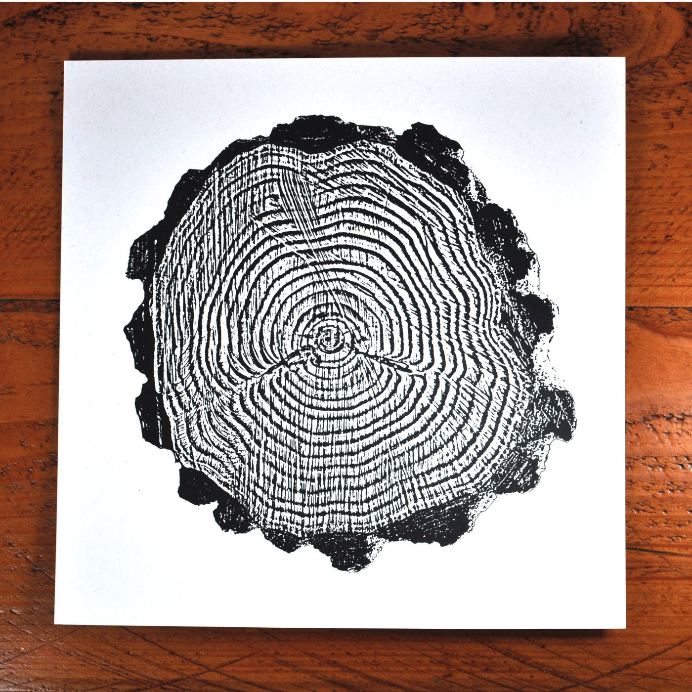 Tree Rings - Medium Paper Print – Printshop Northwest