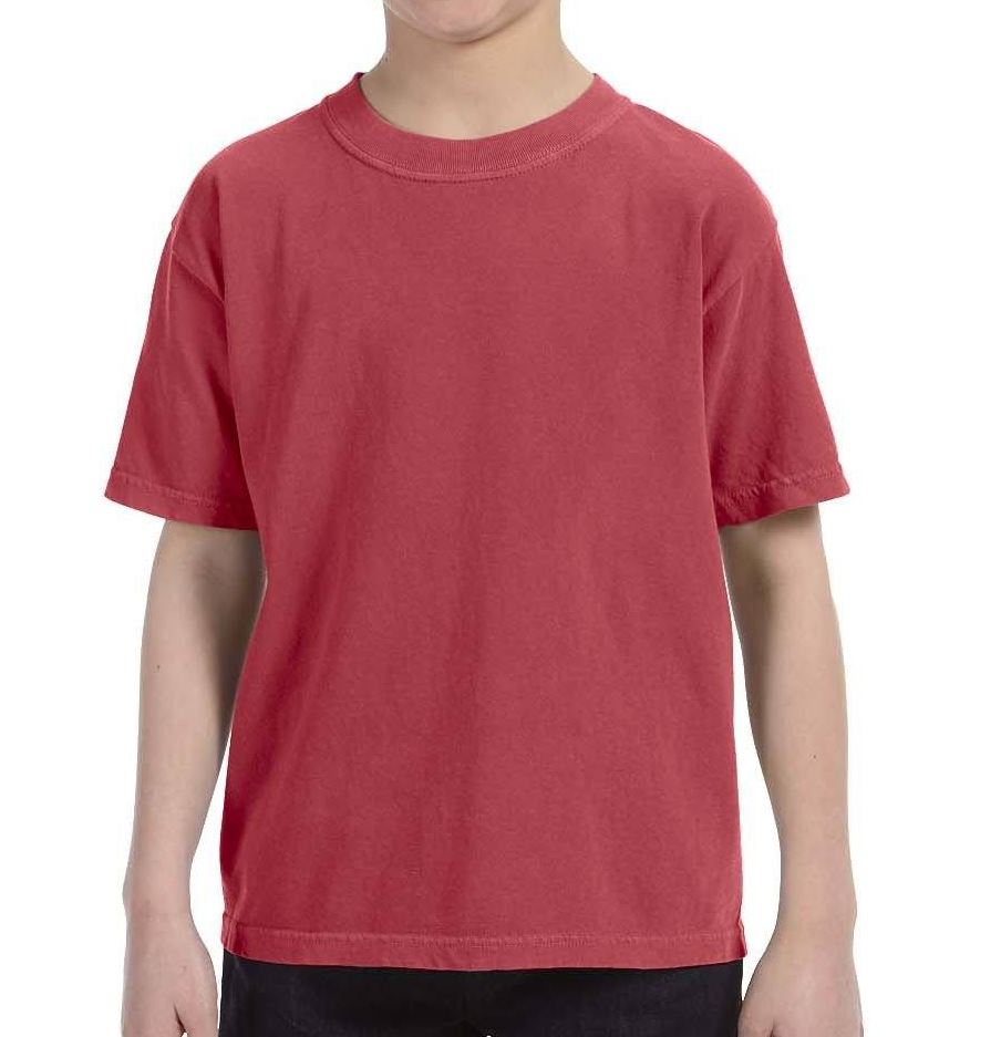 Youth Cotton Garment Dyed T-Shirt (Crimson Fall) Shirt Alphabroder 